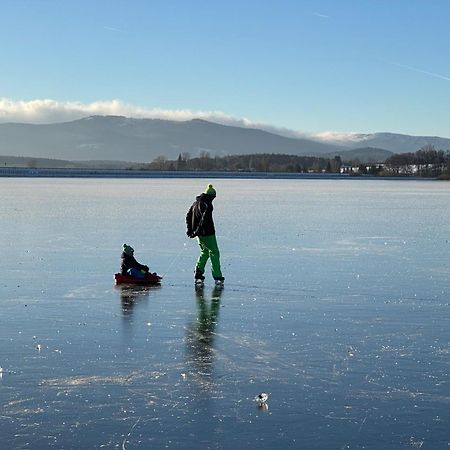Unique Lipno Apartment Černá v Pošumaví エクステリア 写真